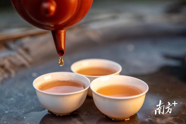 胜亿配资 潮州：国际茶日，敬世界一杯单丛茶