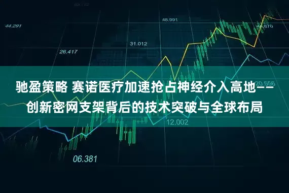 驰盈策略 赛诺医疗加速抢占神经介入高地——创新密网支架背后的技术突破与全球布局