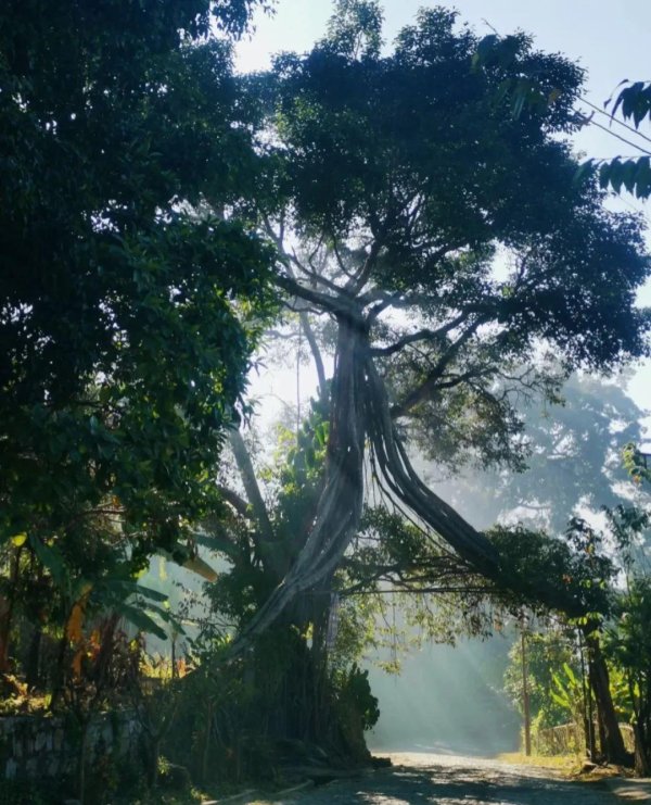 财富加 来了不想上班了，让人很放松的云南小城，不是大理，更不是腾冲