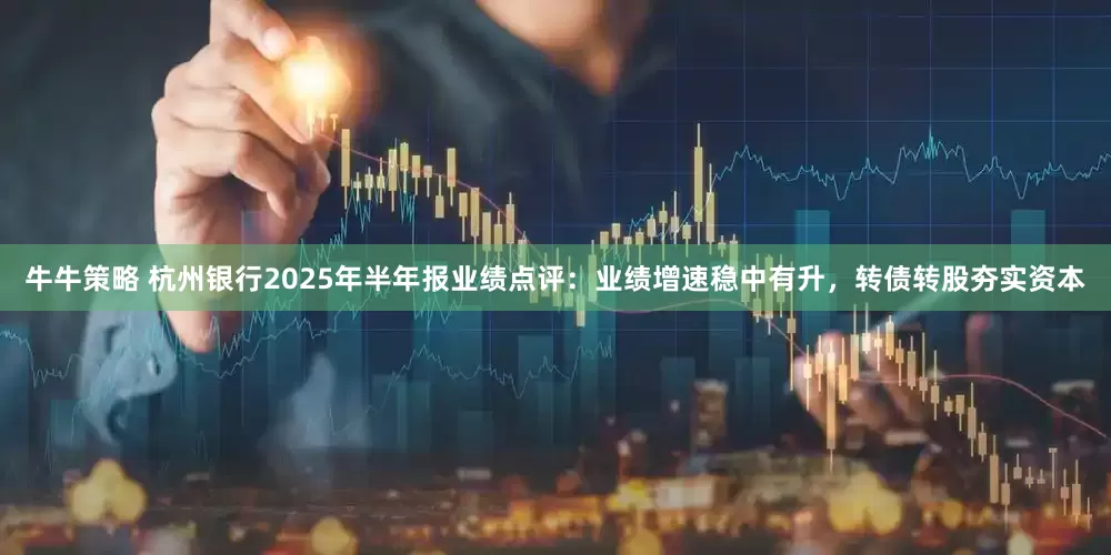 牛牛策略 杭州银行2025年半年报业绩点评：业绩增速稳中有升，转债转股夯实资本