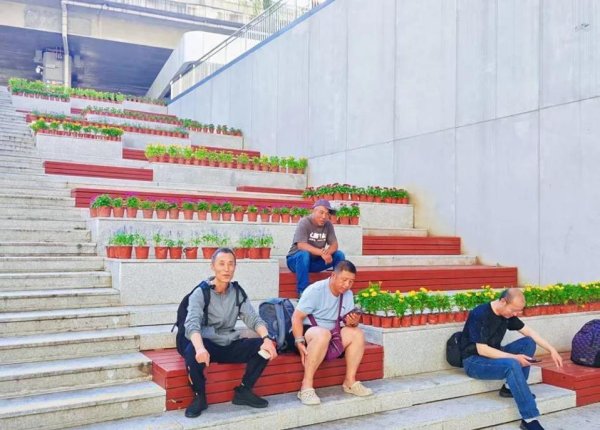 金牛股 清河站200平花海惊艳亮相，旅客直呼像回家，你想去打卡吗？