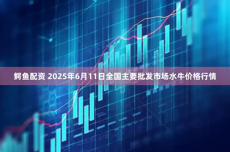 鳄鱼配资 2025年6月11日全国主要批发市场水牛价格行情